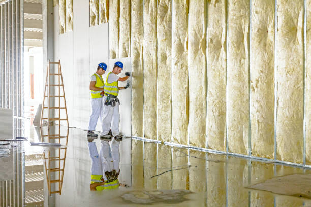 Best Insulation Installation Services in Flowood, MS